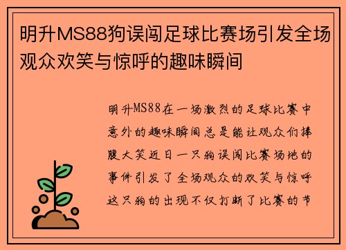 明升MS88狗误闯足球比赛场引发全场观众欢笑与惊呼的趣味瞬间