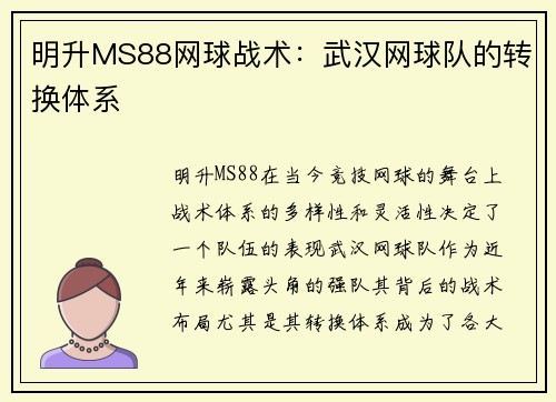 明升MS88网球战术：武汉网球队的转换体系